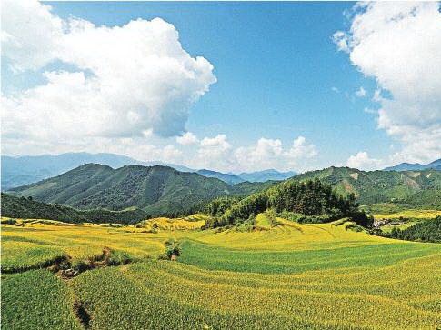 連山歐家梯田