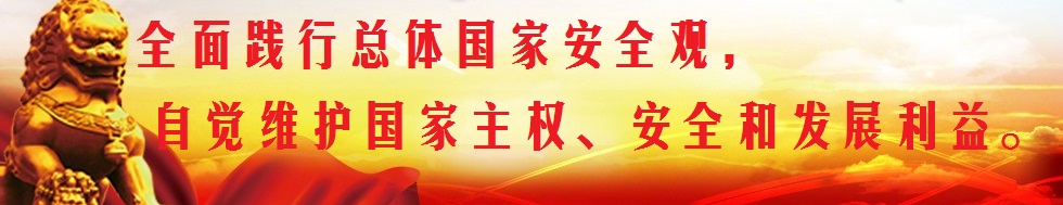 堅持總體國家安全觀，構(gòu)筑維護國家安全鋼鐵長城。